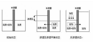 ro膜是什么？為什么說它是凈水器的靈魂？